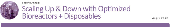 Scaling Up & Down with Optimized Bioreactors & Disposables