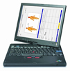 Resolving Data-entry Challenges