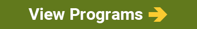 View Program